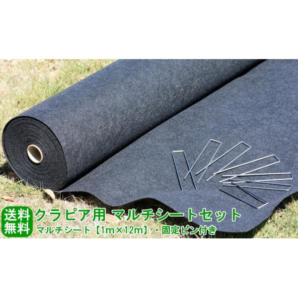 クラピア用 ガーデンシートセット【1ｍ×12ｍ】(約12平米分)【使用方法説明書付】【お庭用】【送料込み】【メーカー直送につき代引不可】