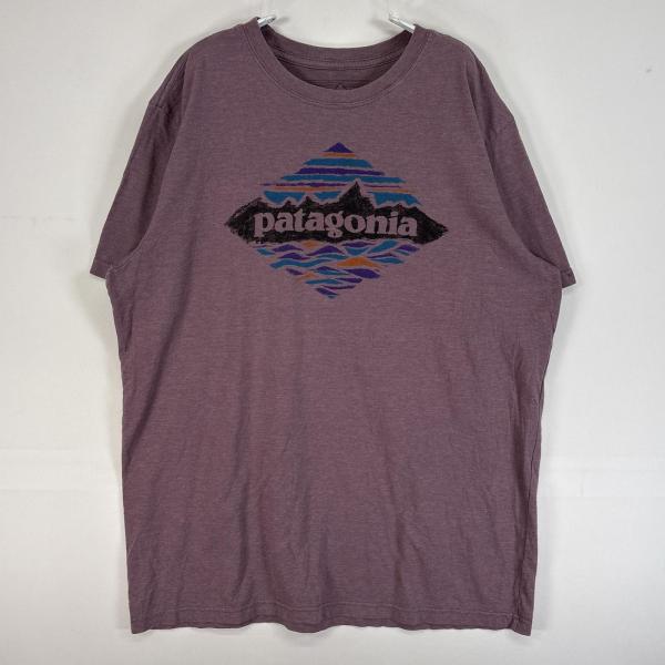 patagonia（パタゴニア） 古着 半袖Tシャツ プリント アウトドア