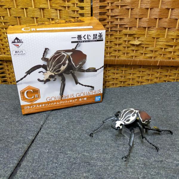 E04-20260827-31 一番くじ 昆虫 LIFE with INSECT C賞 ゴライアスオオツノハナムグリ フィギュア