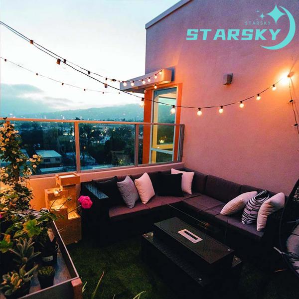 nikotora_nt092424gl_2_d_20241012165458