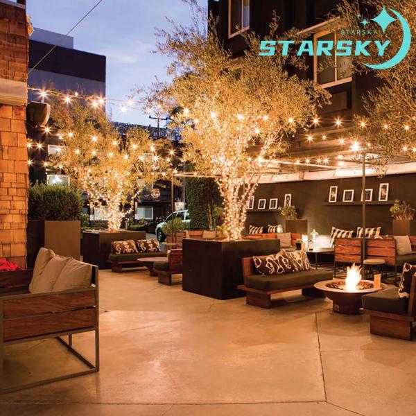 nikotora_nt092424gl_4_d_20241012165503