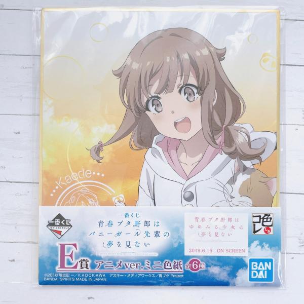 ☆A04 青春ブタ野郎はバニーガール先輩の夢を見ない 青ブタ 一番