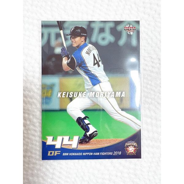 俊足好打の西川遥輝、安打製造機の近藤健介、エースの有原航平らに加え、侍ジャパン選出の掘瑞輝など若手が数多く台頭中!!新時代を迎える北海道日本ハムファイターズの2018年チームパックが発売だ。