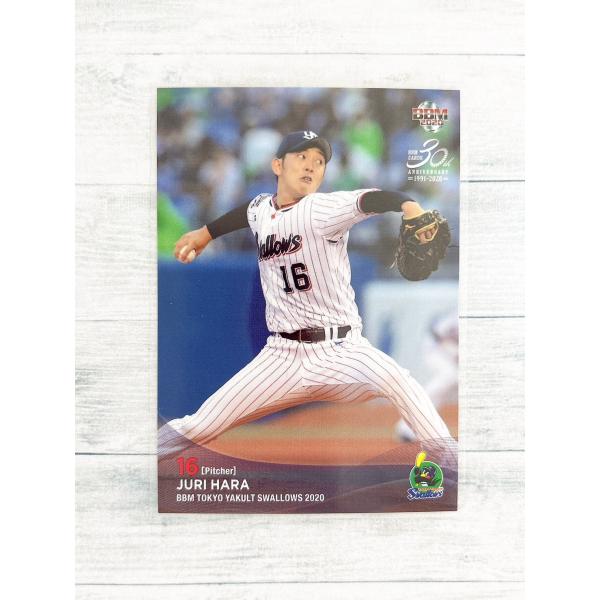 レアインサート「Phantom」は昨年の12種から18種に。