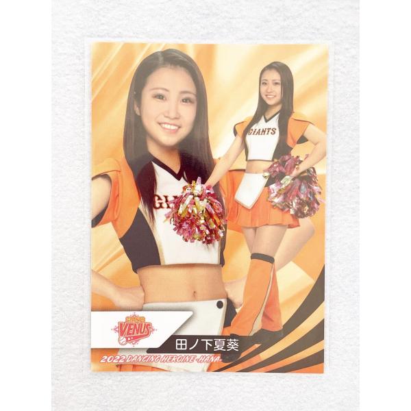 BBMプロ野球チアリーダーカード2022 DANCING HEROINE -華-