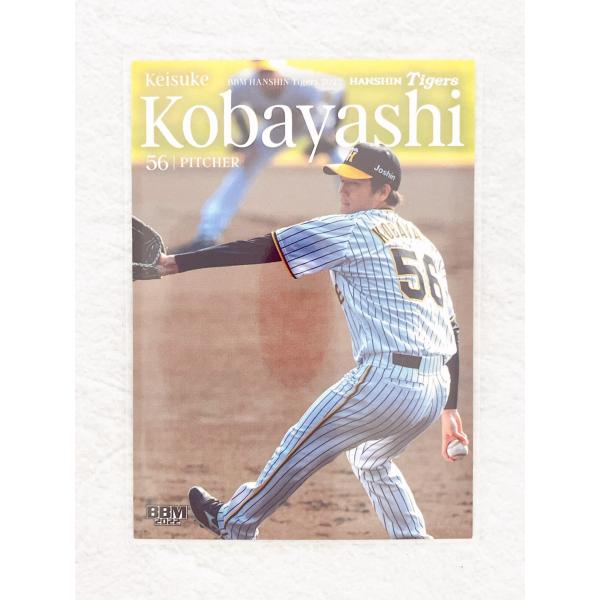 阪神タイガースの2022年版最新カードが道場レアインサート「TREASURE」は24種、「Antique」も24種とボリューム満点