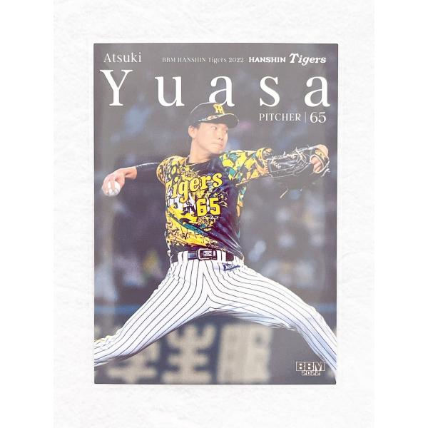 阪神タイガースの2022年版最新カードが道場レアインサート「TREASURE」は24種、「Antique」も24種とボリューム満点