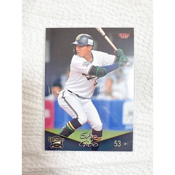 目指せ連覇!　そして日本一へ!　オリックス・バファローズの最新版カードが登場