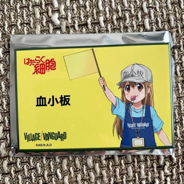 【ヴィレッジヴァンガード限定】 ブルーピリオド 缶バッジ 9個セット ヴィレッジヴァンガード限定】 ブルーピリオド 缶バッジ 9個セット