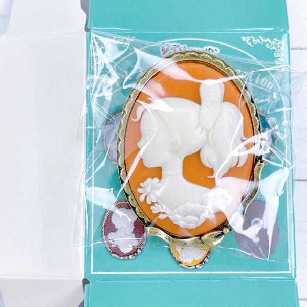 コンプリート✨️スタジオジブリ【カメオデザイン ブローチ