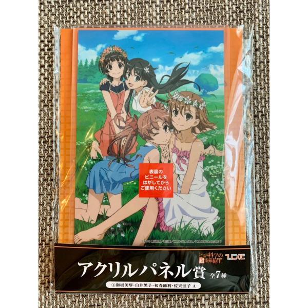 とある科学の超電磁砲　ギアストコラボ　御坂美琴、白井黒子　アクリルスタンド Amazon.co.jp: とある科学の超電磁砲 アクリルスタンド アクスタ