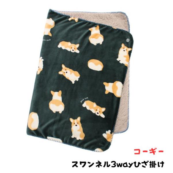 nikukyu_4550521091057