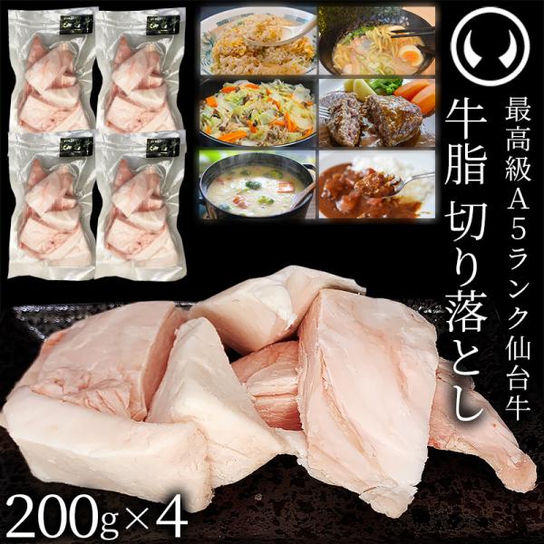 䋍 A5N  ؂藎Ƃ 800g (200gx4) [uh   g wbg uߖ g W[V[ no[Õ^l ȈՕ  n]