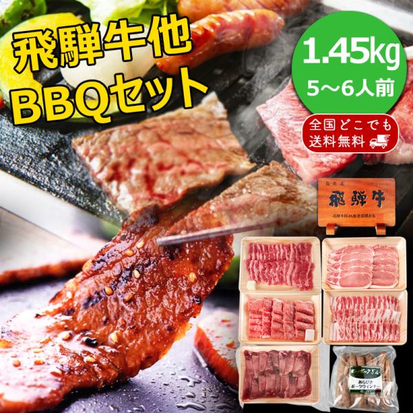 大人気！とろける飛騨牛＆お肉の旨味たっぷり国産豚＆食べ応えある牛タン芯スライス・ソーセージのセットです。家計応援企画！お取り寄せグルメでおうち時間・おうちごはんに彩りを♪人数目安：5〜6人※BBQ・焼肉で召し上がられるお肉の平均量は 男性3...