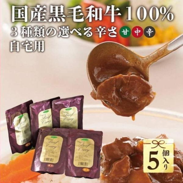 レトルトカレー イイジマ和牛カレー 5個 セット 食品 高級 黒毛和牛お取り寄せ 甘口 中辛 辛口 自宅用 防災食 非常食 常温 食べ物