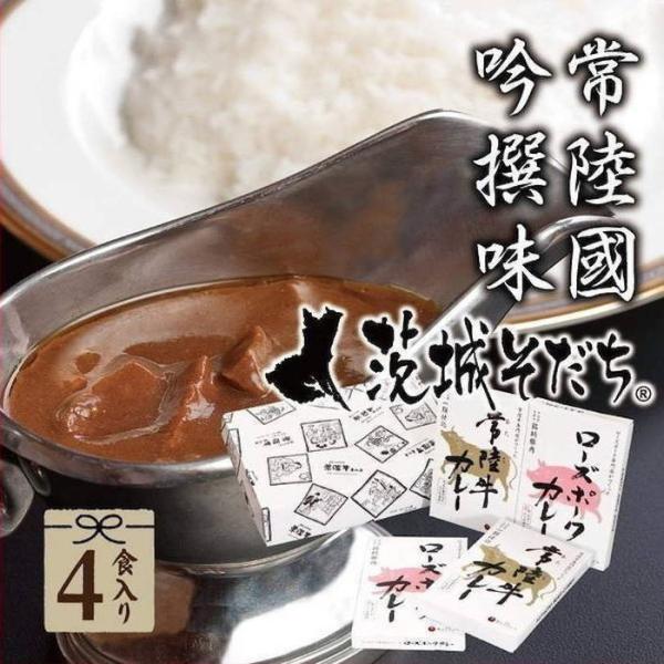 常陸牛 お歳暮 2025 レトルトカレー ギフト 5000円 肉 手土産 茨城