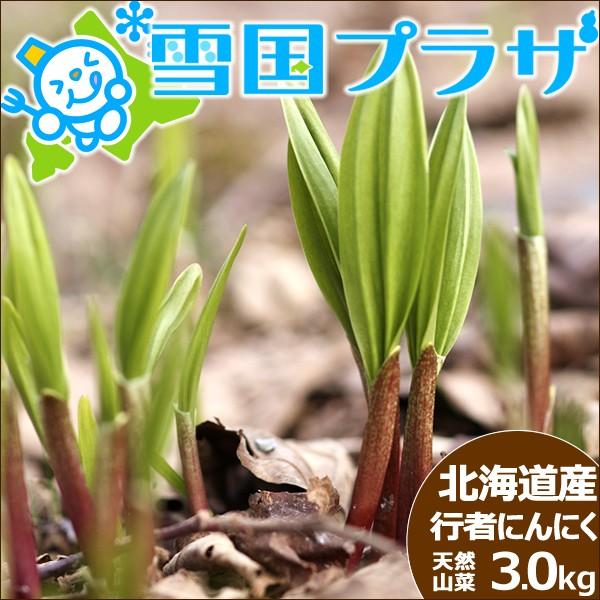 Item Shopping C Yimg Jp I L Nikuyama 2jo Gyouja3kg