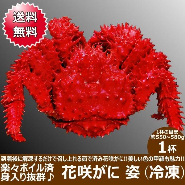 花咲ガニ ボイル 姿 550g 580g前後 花咲 花咲蟹 カニ ギフト 贈り物 贈答 北海道 物産展 応援 支援 食品 グルメ お取り寄せ Doctorgreensurgical Com Au