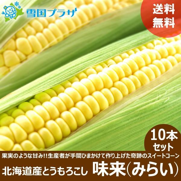 21年 予約 残暑見舞い ギフト とうもろこし 味来 みらい 10本セット 北海道産 トウモロコシ とうきび 敬老の日 プレゼント お取り寄せ 送料無料 2jo Toukibi Mirai 10 雪国プラザ Yahoo ショッピング店 通販 Yahoo ショッピング