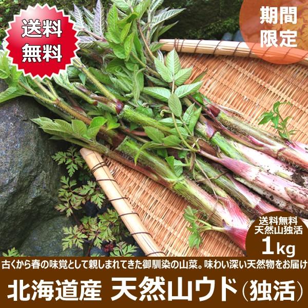 22年 予約 北海道産 山うど 山ウド 1kg 山菜 天然物 天然 うど 山独活 ギフト 北海道 応援 支援 食品 グルメ 野菜 お取り寄せ 2jo Udo 1kg 雪国プラザ Yahoo ショッピング店 通販 Yahoo ショッピング