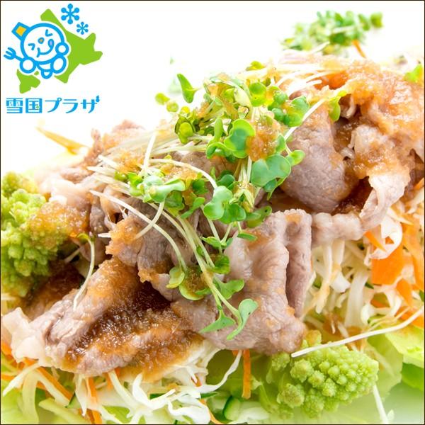 千歳ラム工房 ラムしゃぶセット Ver 1 たれ付き 北海道 ラム肉 しゃぶしゃぶ ギフト 贈り物 お歳暮 御歳暮 お年賀 北海道 人気 送料無料 お取り寄せ Buyee Buyee Japanese Proxy Service Buy From Japan Bot Online