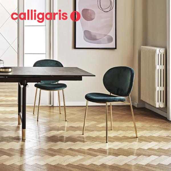 calligaris カリガリス INES イネス 2脚セット CS2004-J