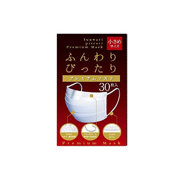 ナナ 全国マスク工業会会員 nana ふんわりぴったり プレミアムマスク