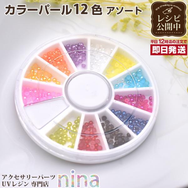 J[p[ 12F A\[g J[p[ 12F A\[g fRp[c 킢 | Wt ANZT[ nhCh  AW  UVW