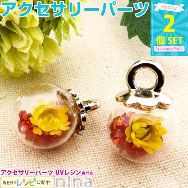 ガラスドーム ビーズ 花入り 赤 2個セット ガラスドーム 赤 レッド 花入り ハンドメイド アクセサリー ペンダント フラワー 手芸 ビーズ入り 手作り Uvレジン レ Nn Kursbh2 002 アクセサリーパーツnina Yahoo 店 通販 Yahoo ショッピング
