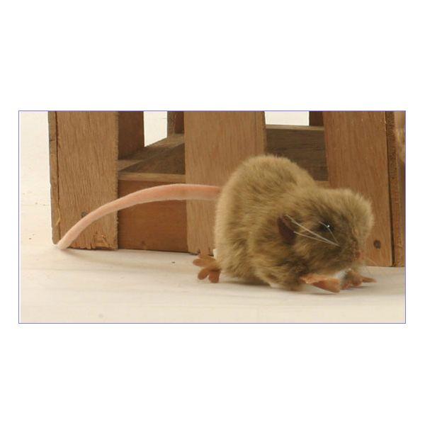 Hansa ハンサ ぬいぐるみ 茶色ネズミ ２７ｃｍ Hansa 5577 Nine Lives ナインライブズ 通販 Yahoo ショッピング