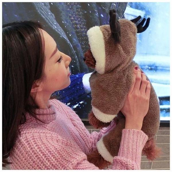 犬用ウェア 着ぐるみ トナカイ クリスマス イベント 犬の服 いぬ用 イヌ用 ドッグ 小型犬 中型犬 ペット用 冬 かわいい キュート パーティー 動 Buyee 日本代购平台 产品购物网站大全 Buyee一站式代购 Bot Online