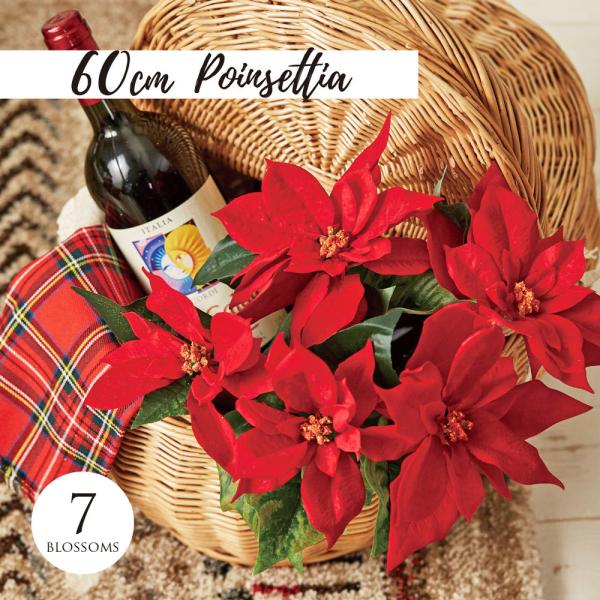 ϗtA |CZ`A ́X NX}X   I[ig tFCNO[ lHϗtA  c[ Xܑ tFCN O[ CeA