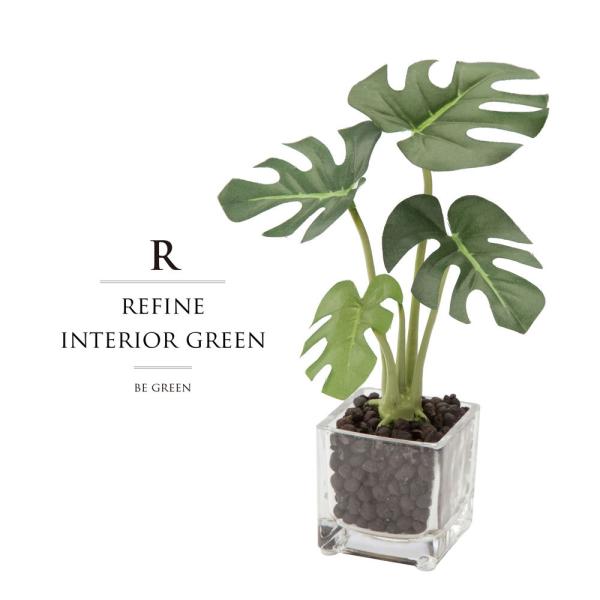 モンステラ 鉢 おしゃれの人気商品 通販 価格比較 価格 Com