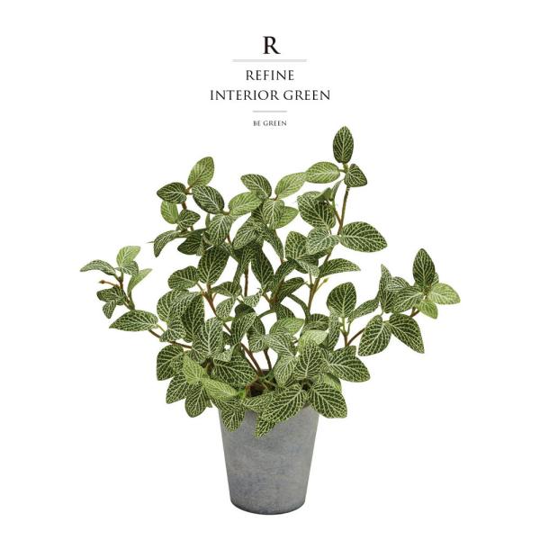 ϗtA tFCNO[ lHϗtA tBgjA  |bgt Zg  c[ Xܑ t ^ tFCN O[ CeA 27cm