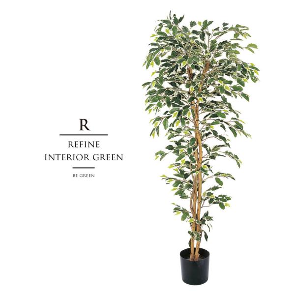 ϗtA tFCNO[ lHϗtA xW~ tBJX   c[ Xܑ ^ tFCN O[ CeA 150cm O