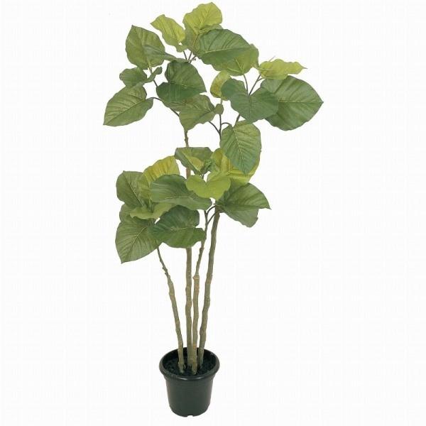 人工観葉植物 ウンベラータ4f 高さ1cm Fg5228 代引き不可 Khabarbani Com