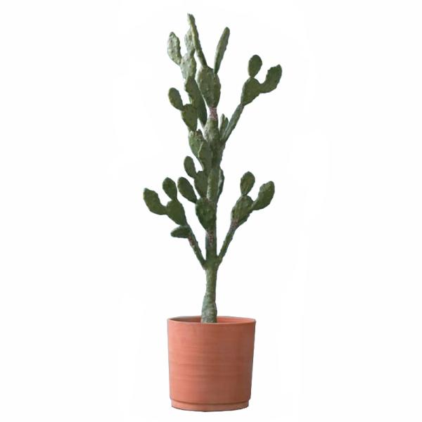 人工観葉植物 ウチワサボテンポット130 カミーラ30 1個 23 C 代引き不可 Drscgmcnanded