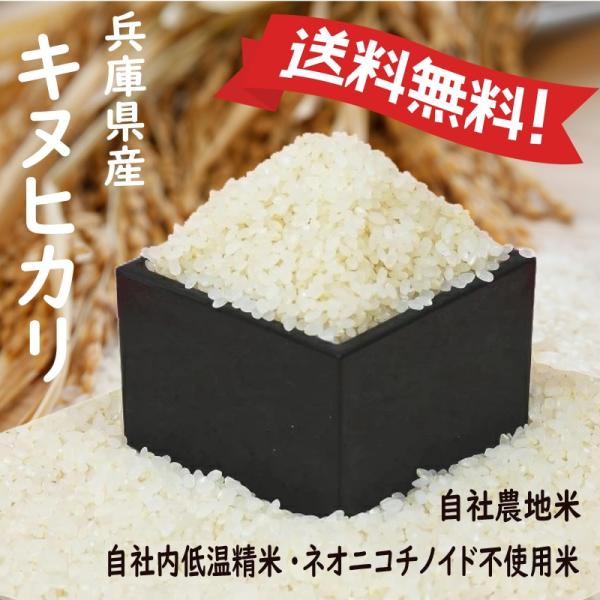令和7年産 キヌヒカリ 兵庫県産 Mirakana ネオニコチノイド不使用米 白米0.5kg・0.9kg・2kg・5kg・10kg 熱を加えずに、やさしい低温精米