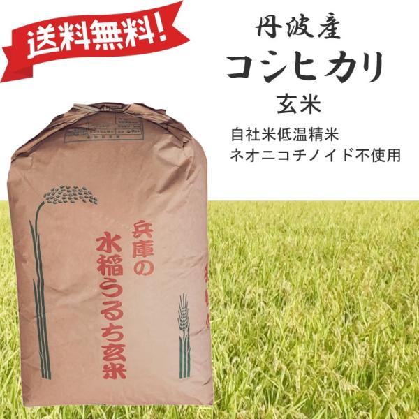 令和7年産 コシヒカリ 兵庫県産 Mirakana premium 丹波産 玄米0.5kg・0.9kg・2kg・5kg・10kg・30kg