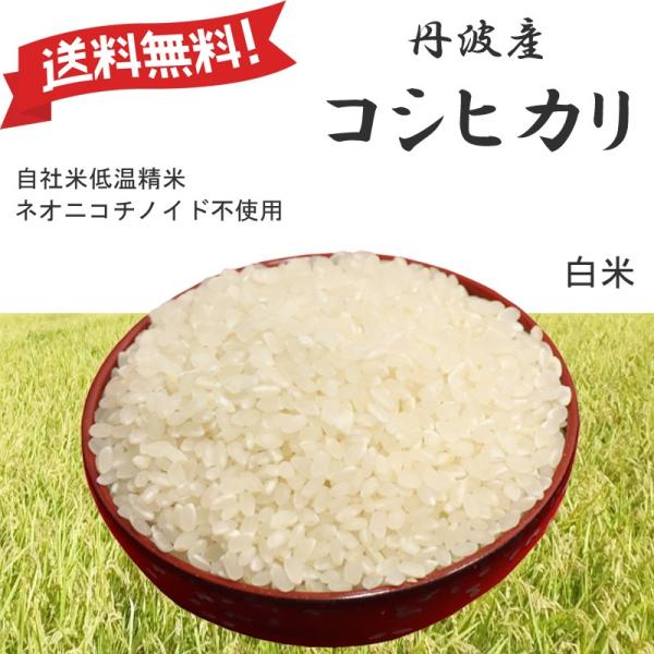 令和7年産 コシヒカリ 兵庫県産 Mirakana premium 丹波産 白米0.5kg・0.9kg・2kg・5kg・10kg 熱を加えずに、やさしい低温精米