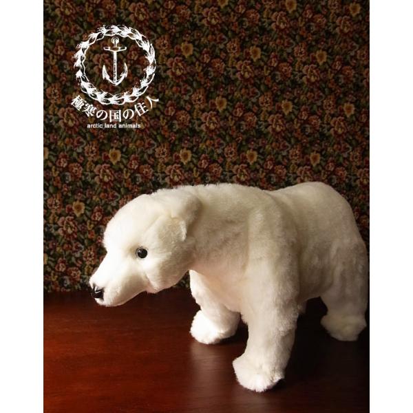 yHANSA VN}34 ʂ݁zF 낭 nT A {  ybg NX}X