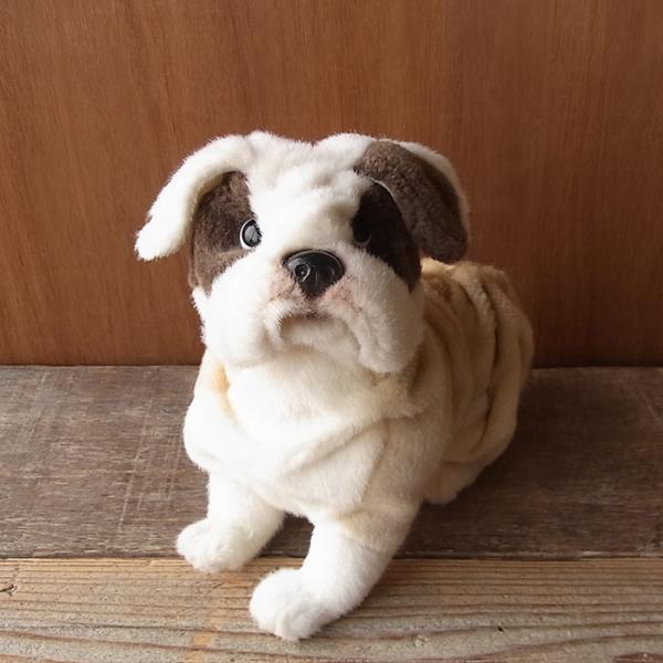 yHANSA uhbO27 ʂ݁z  Ck nT A {  ybg NX}X