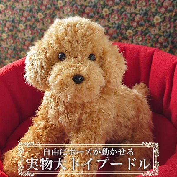 簡易ラッピングでお届け 実物大 トイプードル33cm アプリコット ぬいぐるみ 本物 そっくり リアル ペット メモリアル 犬 いぬ イヌ Buyee Buyee 提供一站式最全面最專業現地yahoo Japan拍賣代bid代拍代購服務 Bot Online