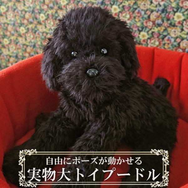 実物大 トイプードル33cm 黒 ブラック ぬいぐるみ 本物 そっくり リアル ペット メモリアル 犬 いぬ イヌ Buyee Buyee 日本の通販商品 オークションの代理入札 代理購入