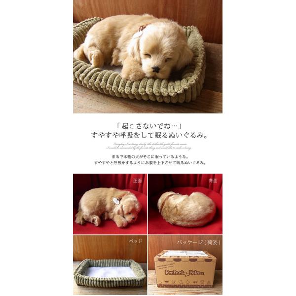 パーフェクトペット レトリバー ぬいぐるみ 犬 イヌ いぬ ぬいぐるみ リアル 本物 そっくり ペット Buyee Buyee 日本の通販商品 オークションの代理入札 代理購入