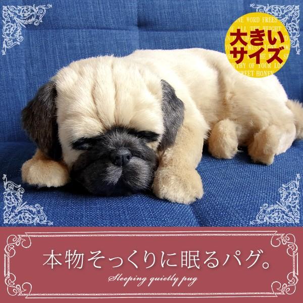 犬 ぬいぐるみ リアル パーフェクトペット 大 パグ ぬいぐるみ Buyee Buyee 日本の通販商品 オークションの入札サポート 購入サポートサービス