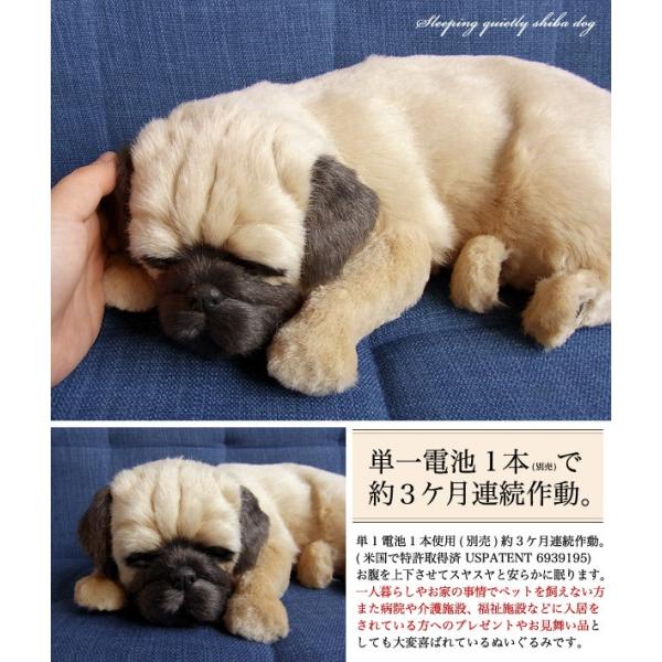 犬 ぬいぐるみ リアル パーフェクトペット 大 パグ ぬいぐるみ Buyee Buyee Japanese Proxy Service Buy From Japan Bot Online