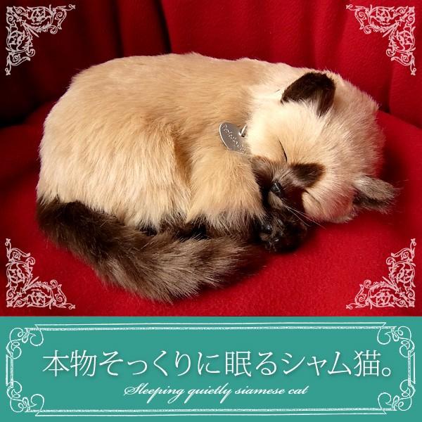 猫 ぬいぐるみ リアル パーフェクトペット シャム猫 ぬいぐるみ N Uc Pp 92 15 ニニアンドキノ Yahoo 店 通販 Yahoo ショッピング