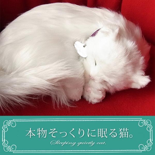 パーフェクトペット 白猫 長毛 ぬいぐるみ 猫 ネコ ねこ ぬいぐるみ リアル 本物 そっくり ペット Buyee Buyee 일본 통신 판매 상품 옥션의 대리 입찰 대리 구매 서비스