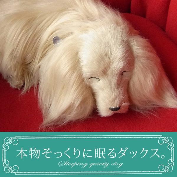 【いきむ犬】希少ゴールド いきむ犬】希少ゴールド